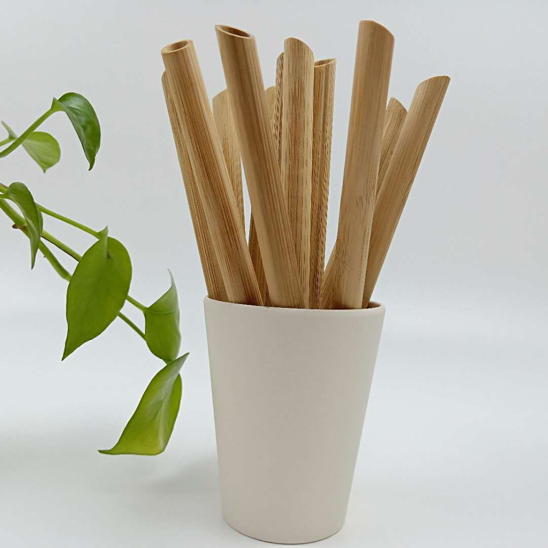 Bamboo Reusable Straws | Biodegradable Alternative to Plastic Straw | 12 Pieces