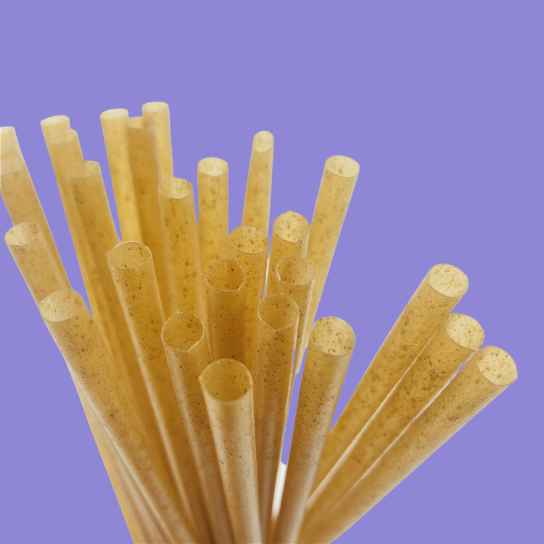 Sugarcane Biodegradable Drinking Straw (6MM x 20CM)